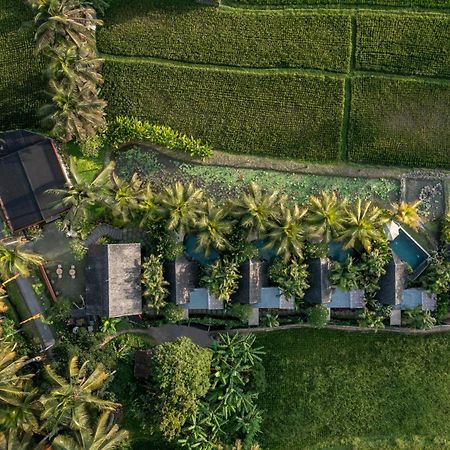 Lasamana Villas Ubud Exterior foto