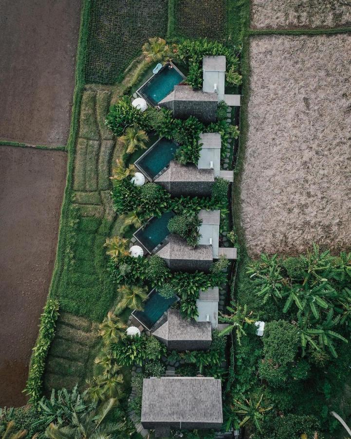 Lasamana Villas Ubud Exterior foto